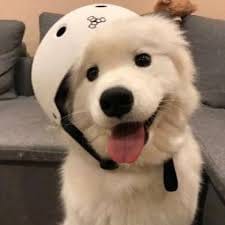 ประเสริฐ ศรณี avatar