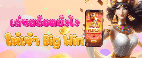 สิทธิพิเศษระดับ VIP promotion image