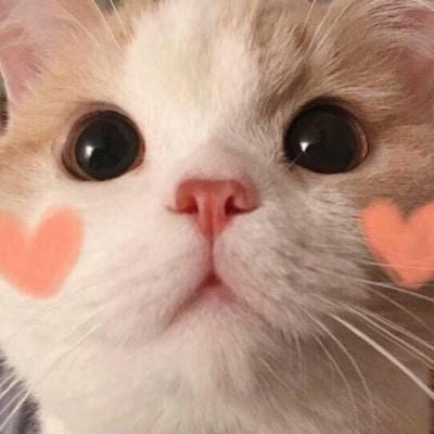 นานิ หิรัญกฤษฎิ์ avatar